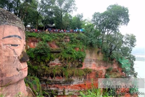 樂山大佛10月開始進(jìn)行加固，預(yù)計(jì)明年2月完工
